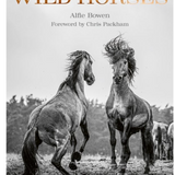WILD HORSES