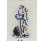 John Derian Venus Mini Tray