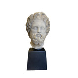 Vintage Bust of Asclepius of Milos