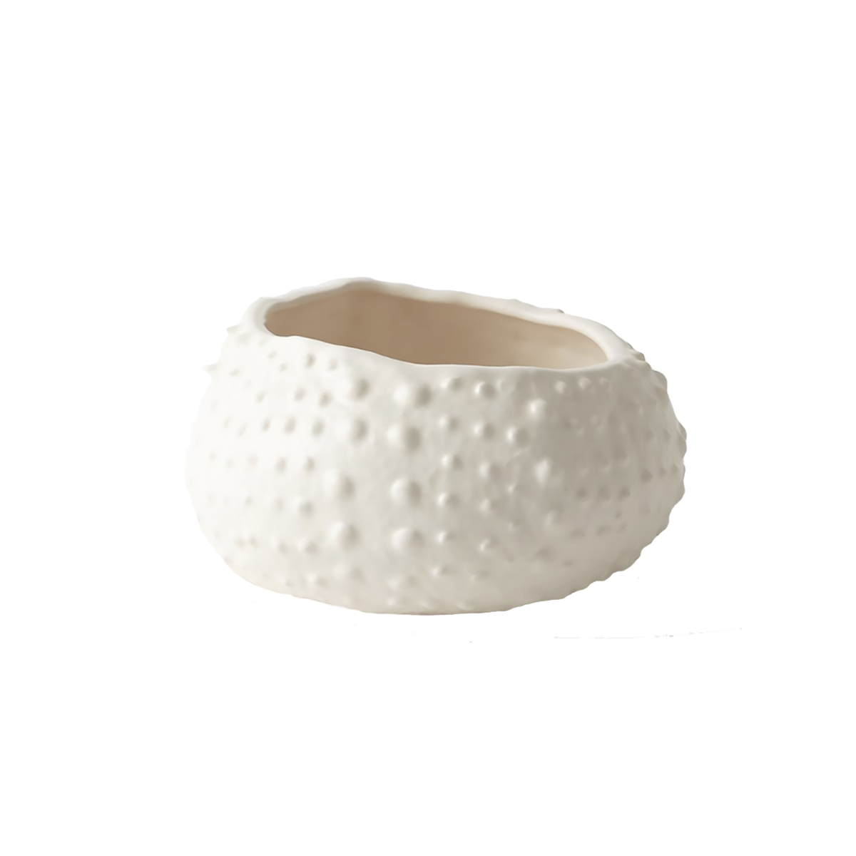 Ceramic Urchin Bowl Absolutely Inc.