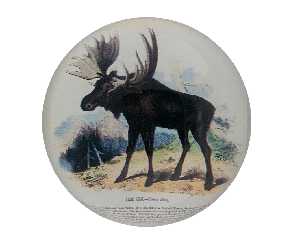 John Derian Moose Deer Paper Weight