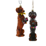 This doxy w/ wreath ornament is perfect for dog lover's tree