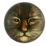 Country Cat DOME PAPERWEIGHT