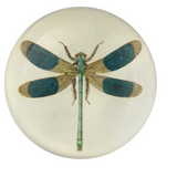 Dragonfly DOME PAPERWEIGHT