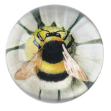 Fuzzy Bee (Green Daisy) Dome PAPERWEIGHT