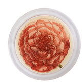 Ranunculus 4” Coaster