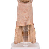 ANCIENT GREEK TERRACOTTA FIGURAL JUG