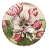 Beach Rose Dome Paperweight
