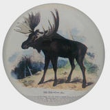 The Moose Deer Dome Paperweight