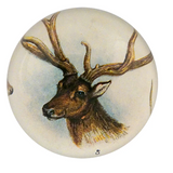 11 Tipped Deer Dome Paperweight
