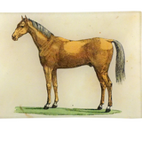 Golden Horse Mini Tray