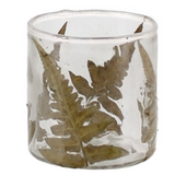 Enameled Fern Hurricane