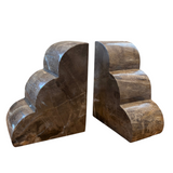 Petrified Wood Bookends