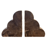 Petrified Wood Bookends