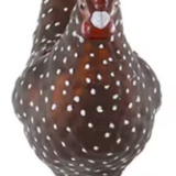 Farmhouse Hen Ornament