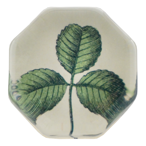 Handmade in New York, this decoupage plate features a clover illustration sourced from John Derian's extensive collection of antique and vintage prints. 