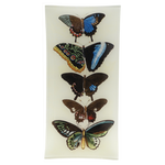 Handmade in New York, this decoupage tray features an illustration of butterflies sourced from John Derian's extensive collection of antique and vintage prints
