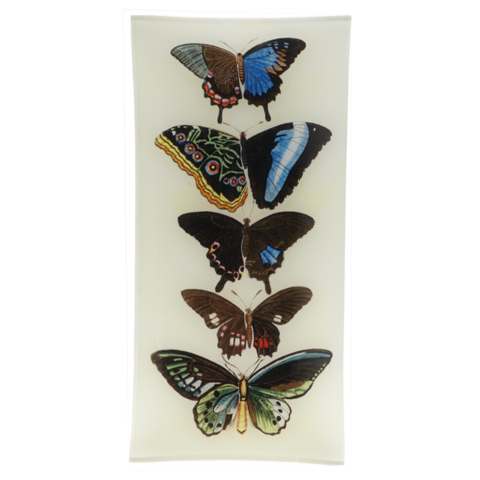 Handmade in New York, this decoupage tray features an illustration of butterflies sourced from John Derian's extensive collection of antique and vintage prints