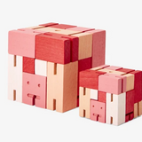 Cubebots