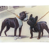 Boston Terrier & French Bulldog Mini-Tray