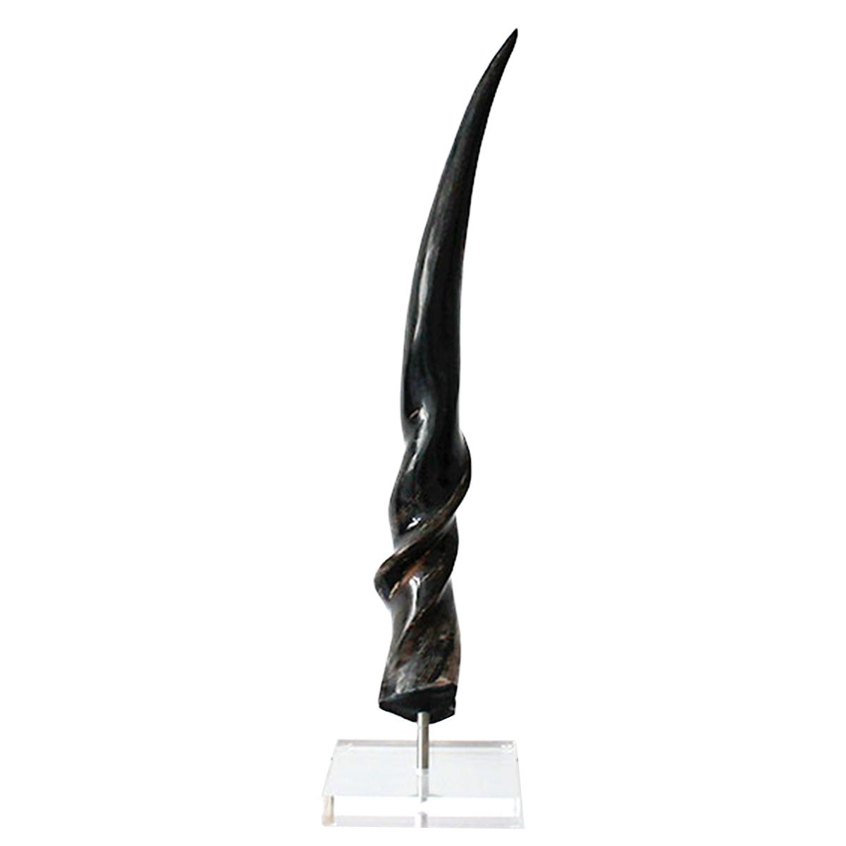 Polished elan horn doubles as a modern sculpture. 
